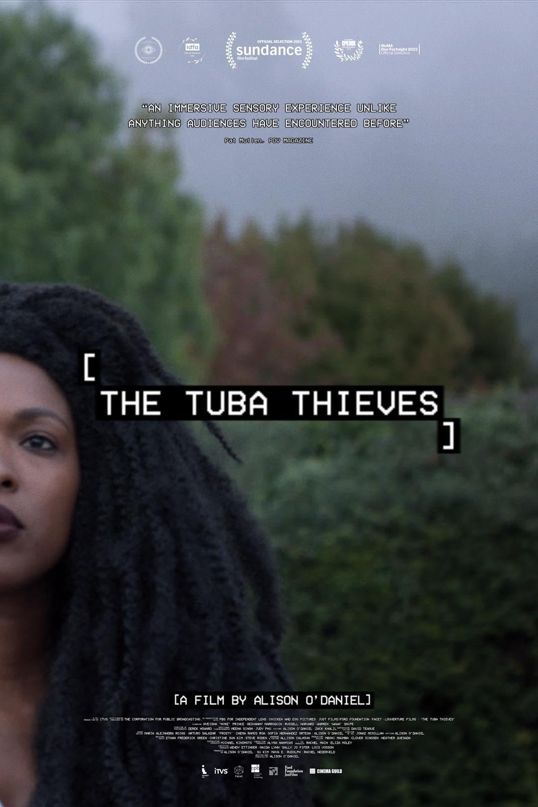 The Tuba Thieves photo