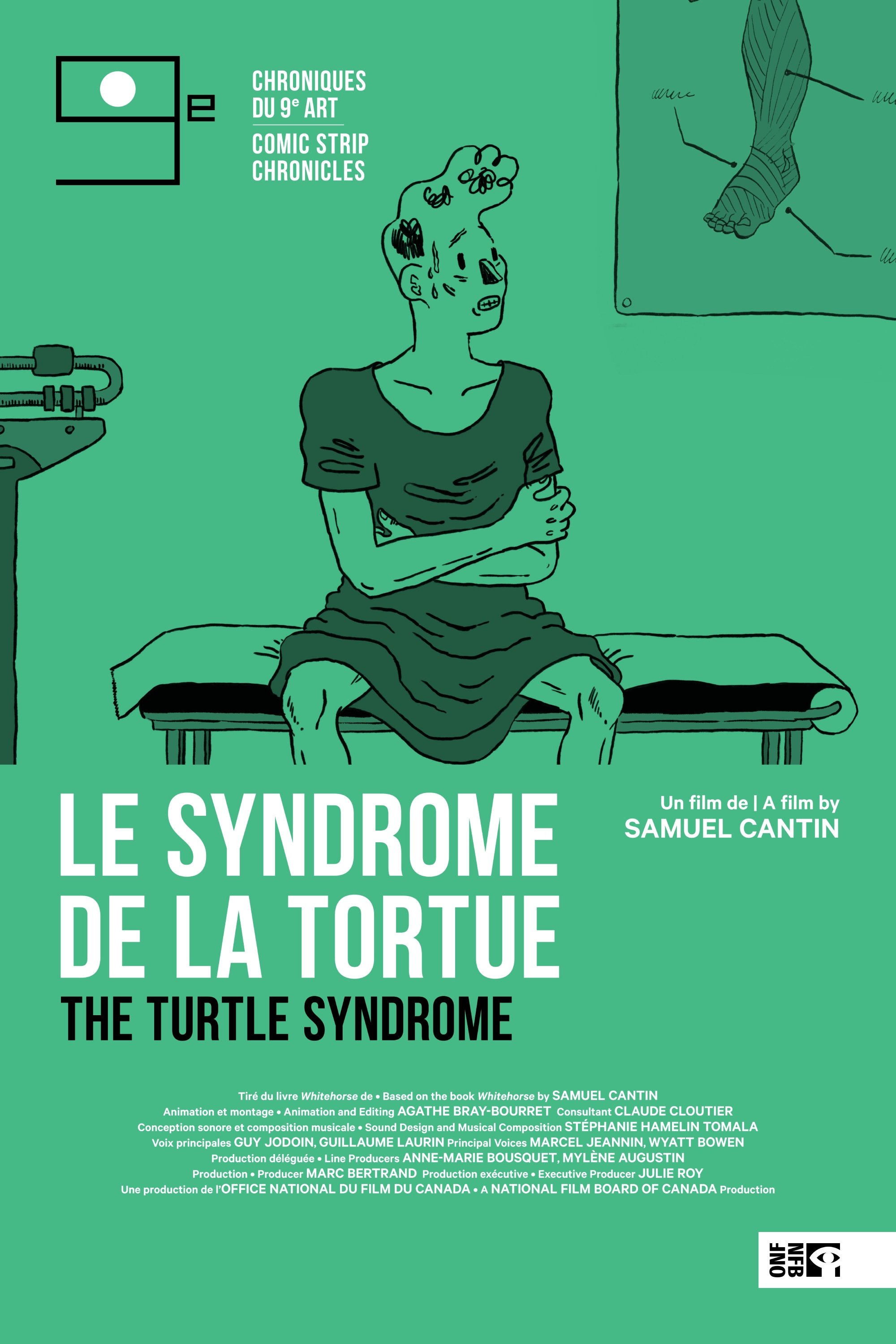 The Turtle Syndrome photo