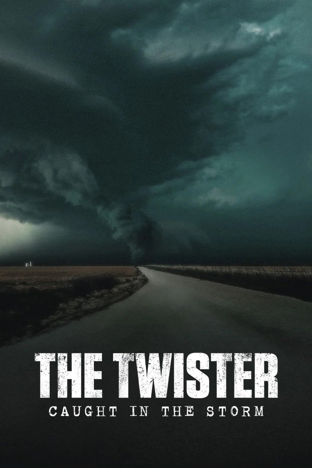 The Twister: Caught in the Storm photo
