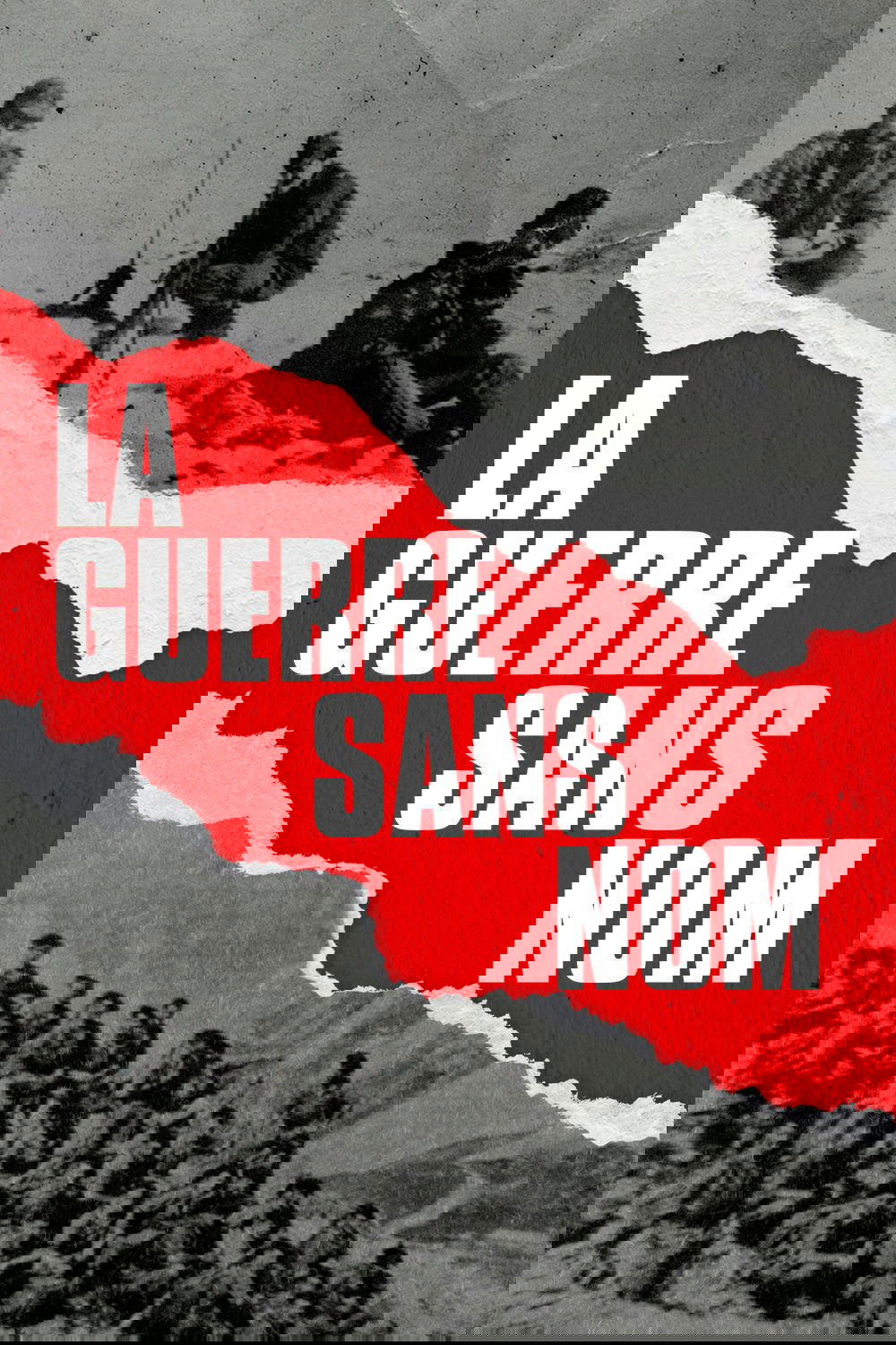 The Undeclared War photo