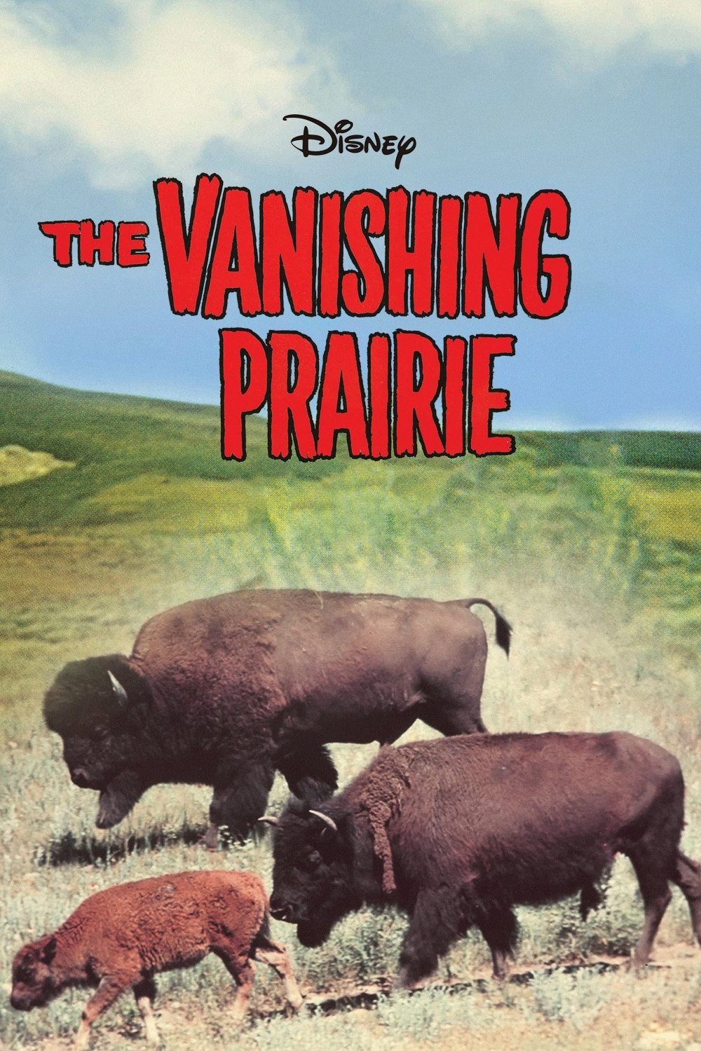 The Vanishing Prairie photo