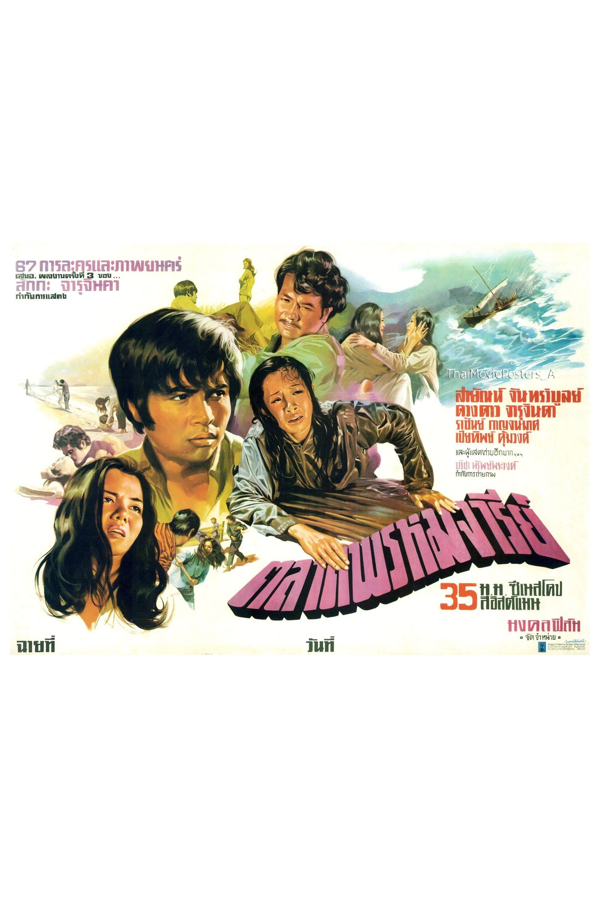 The Virgin Market photo