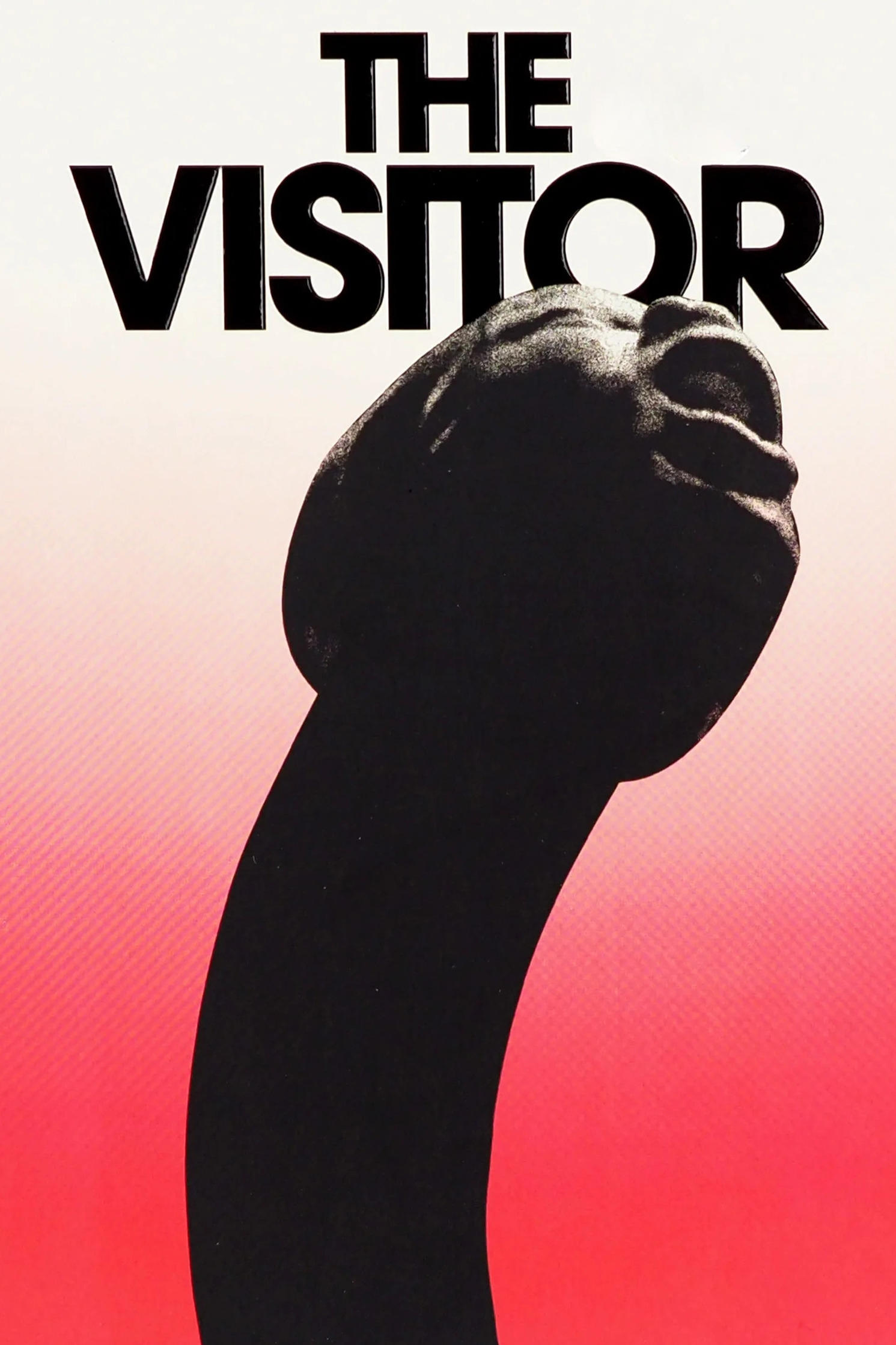 The Visitor photo
