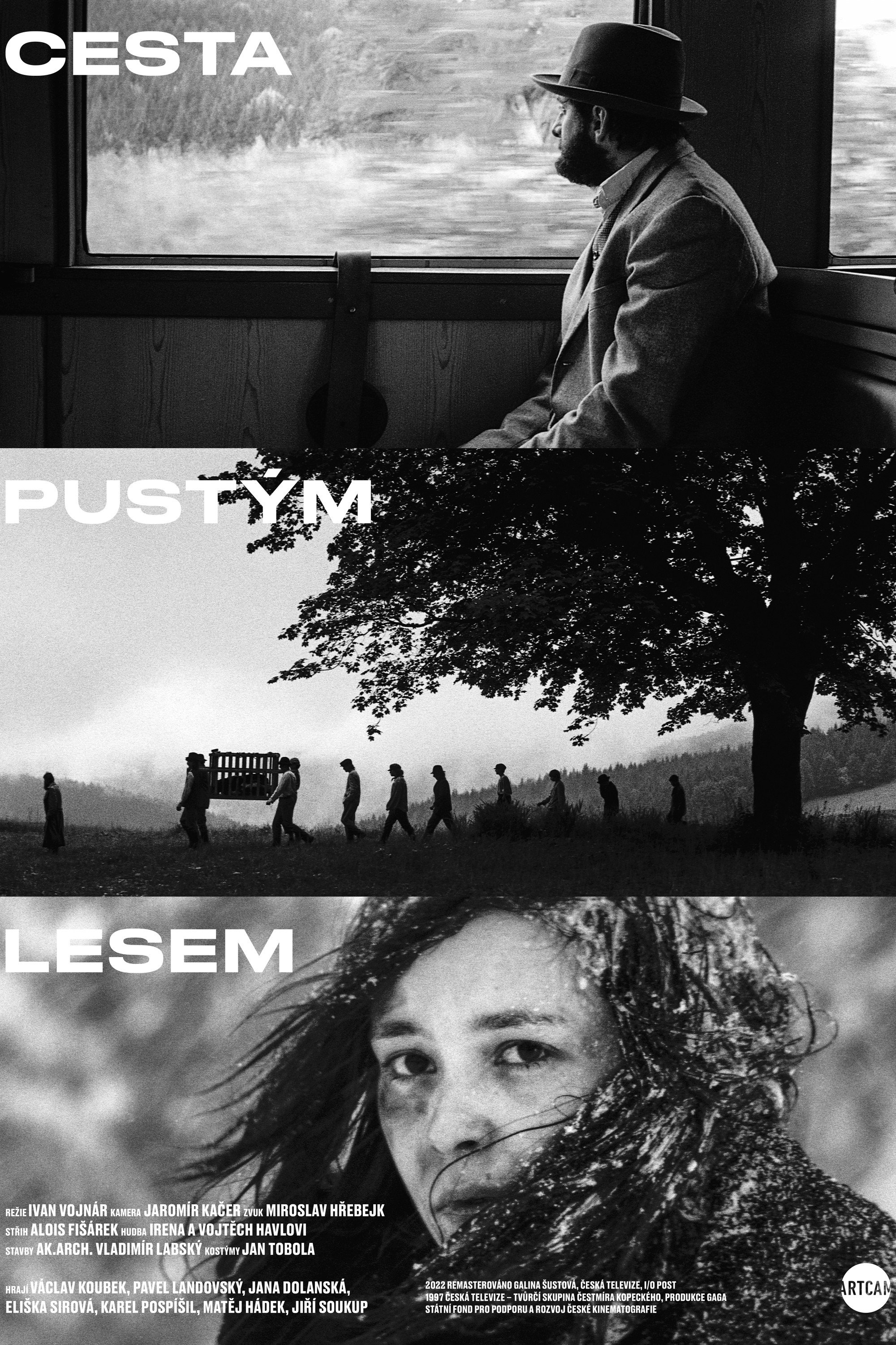 The Way Through the Bleak Woods photo