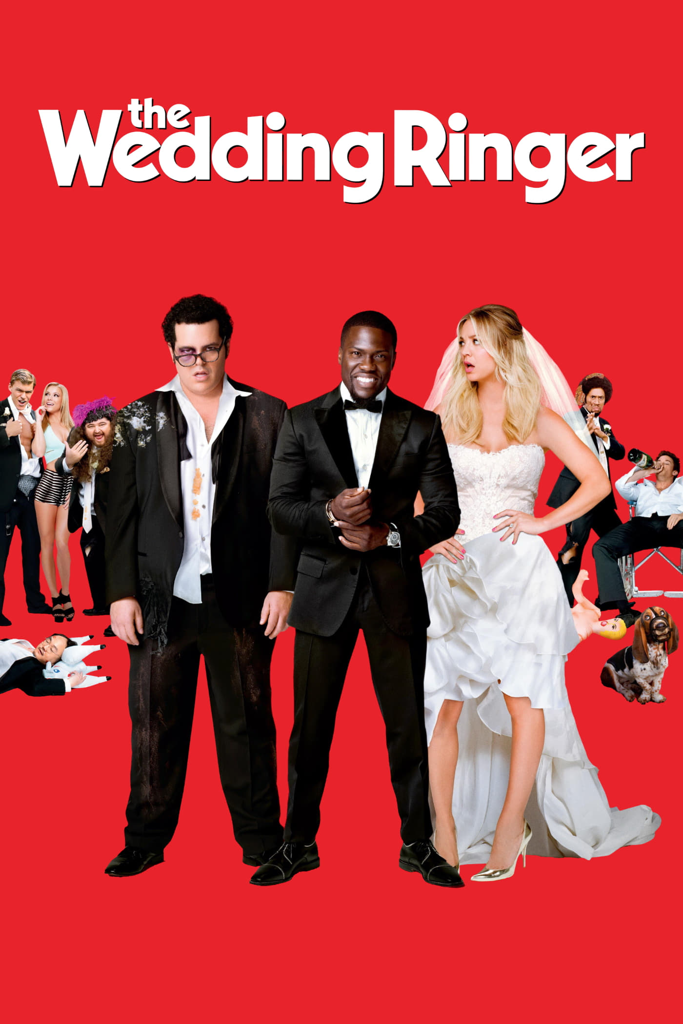 The Wedding Ringer photo