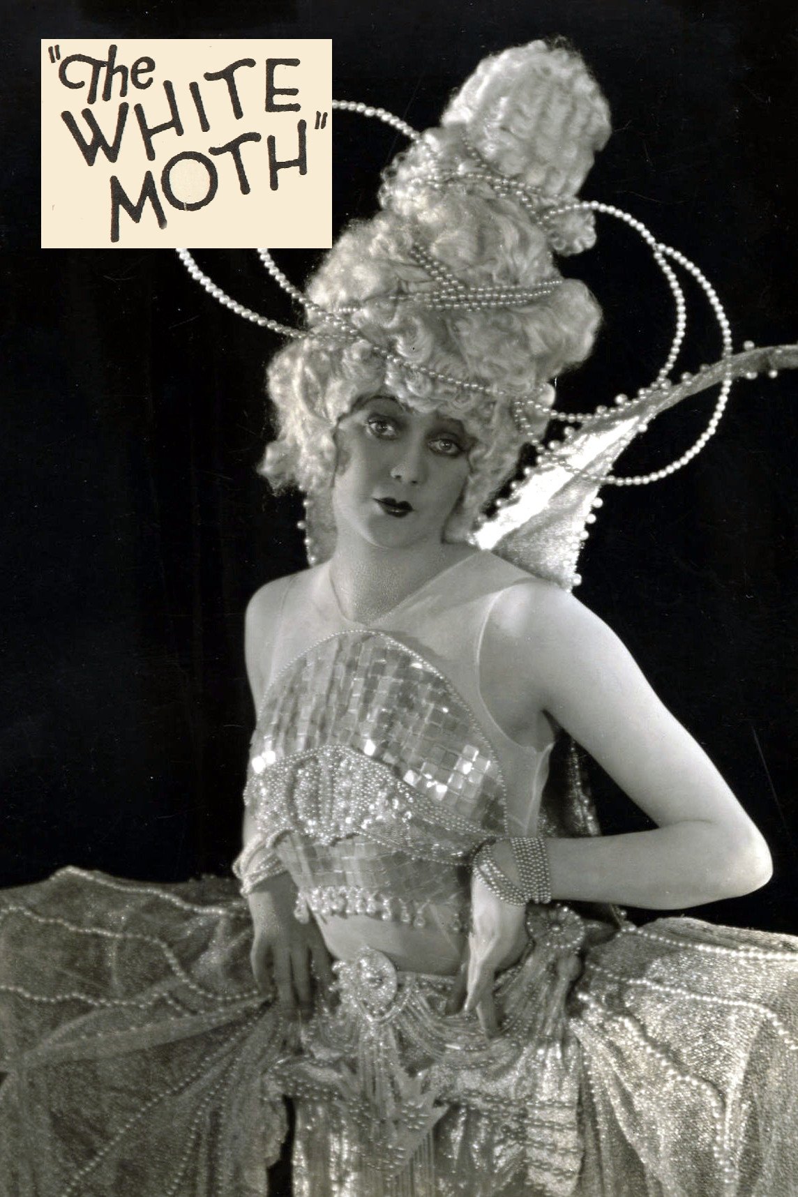 The White Moth photo