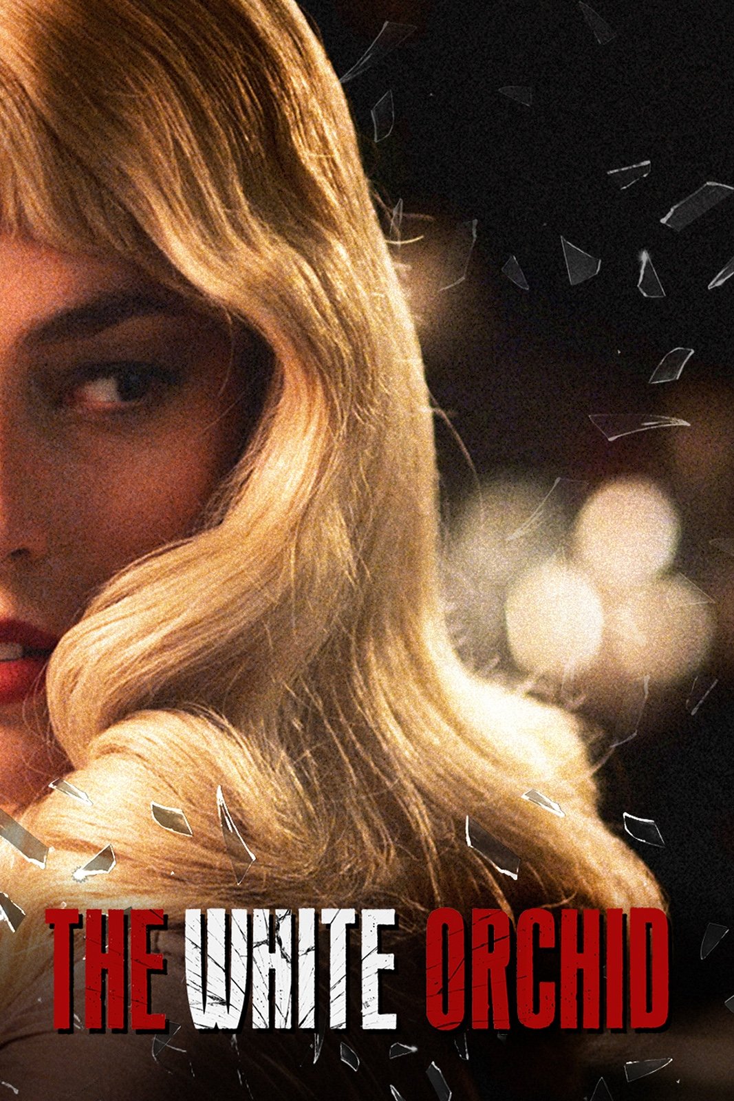 The White Orchid photo