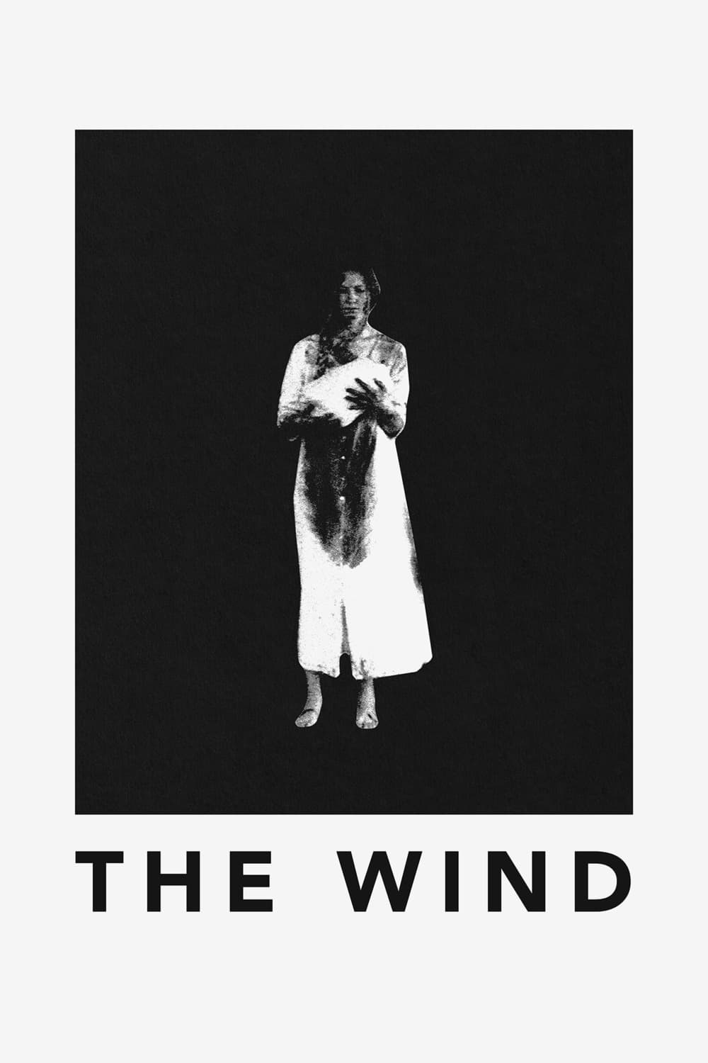 The Wind photo