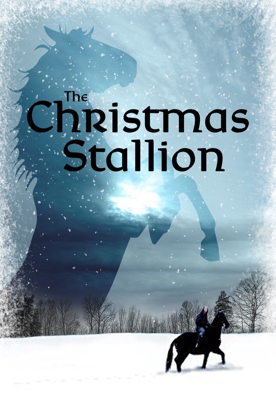 The Winter Stallion photo
