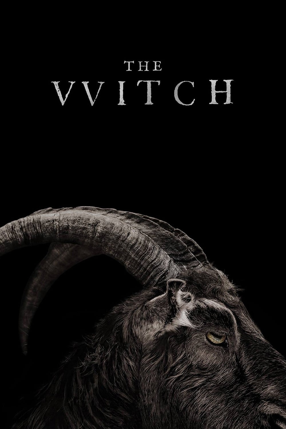 The Witch photo