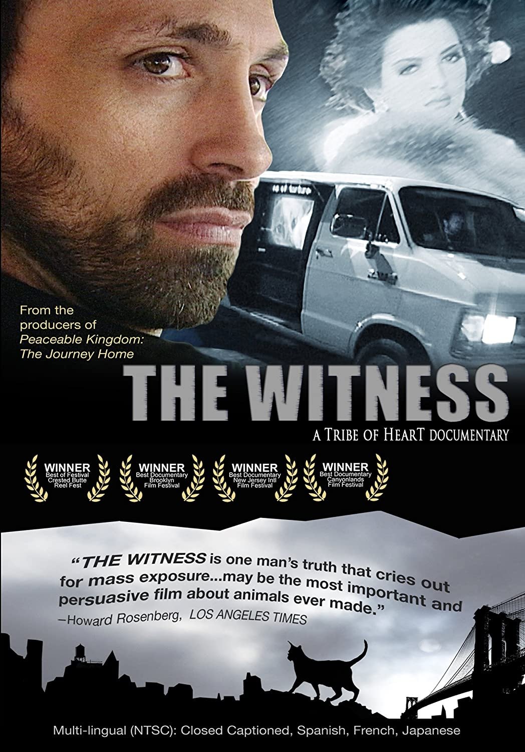 The Witness photo