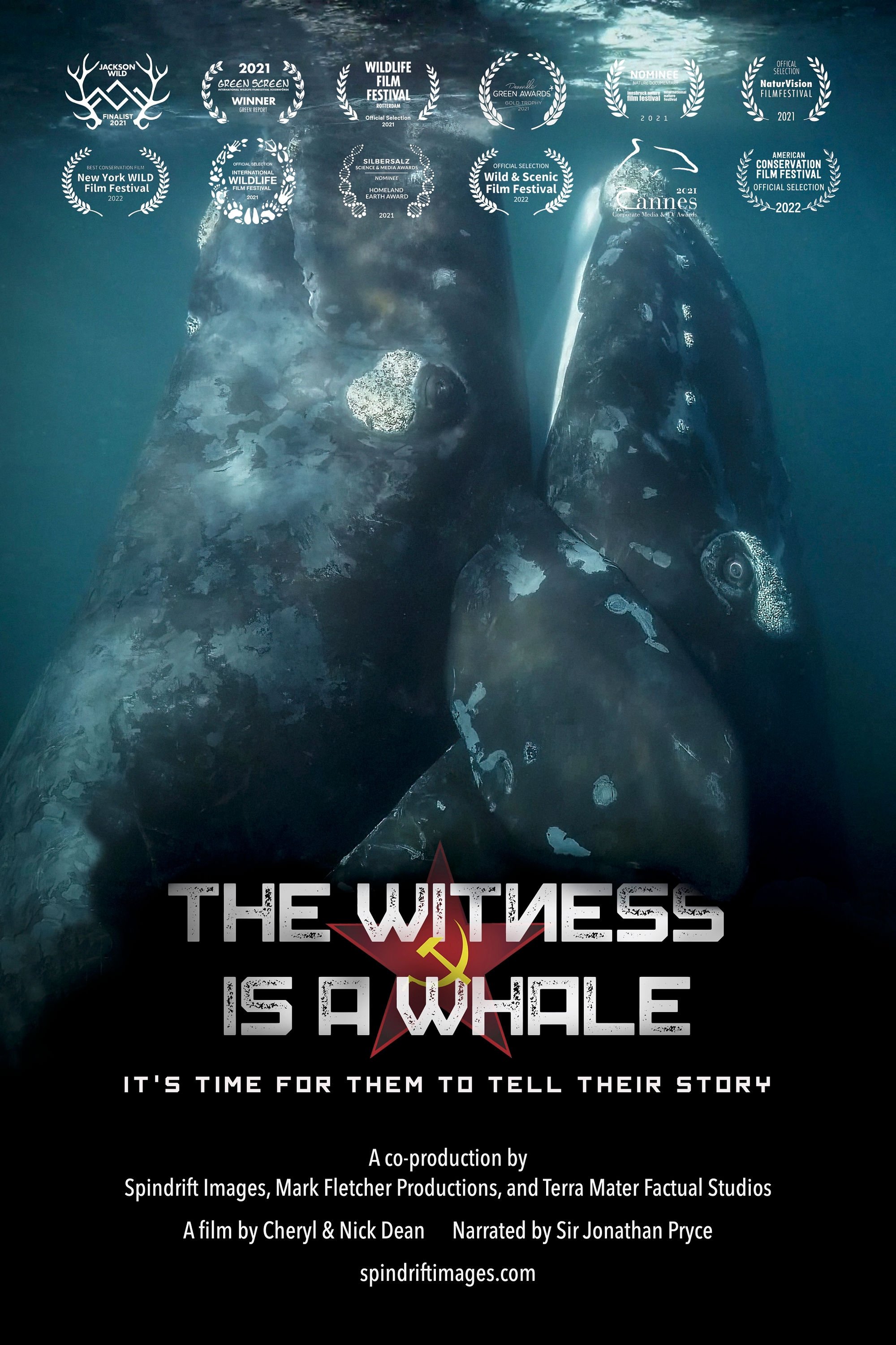 The Witness is a Whale photo