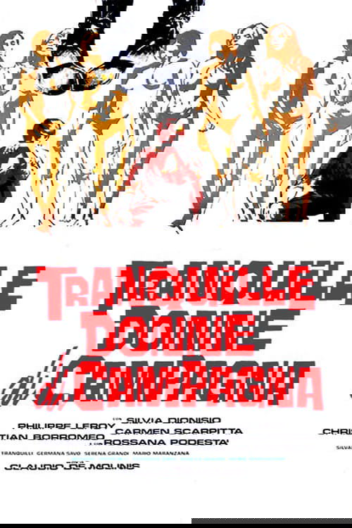 The Women of Quiet Country photo