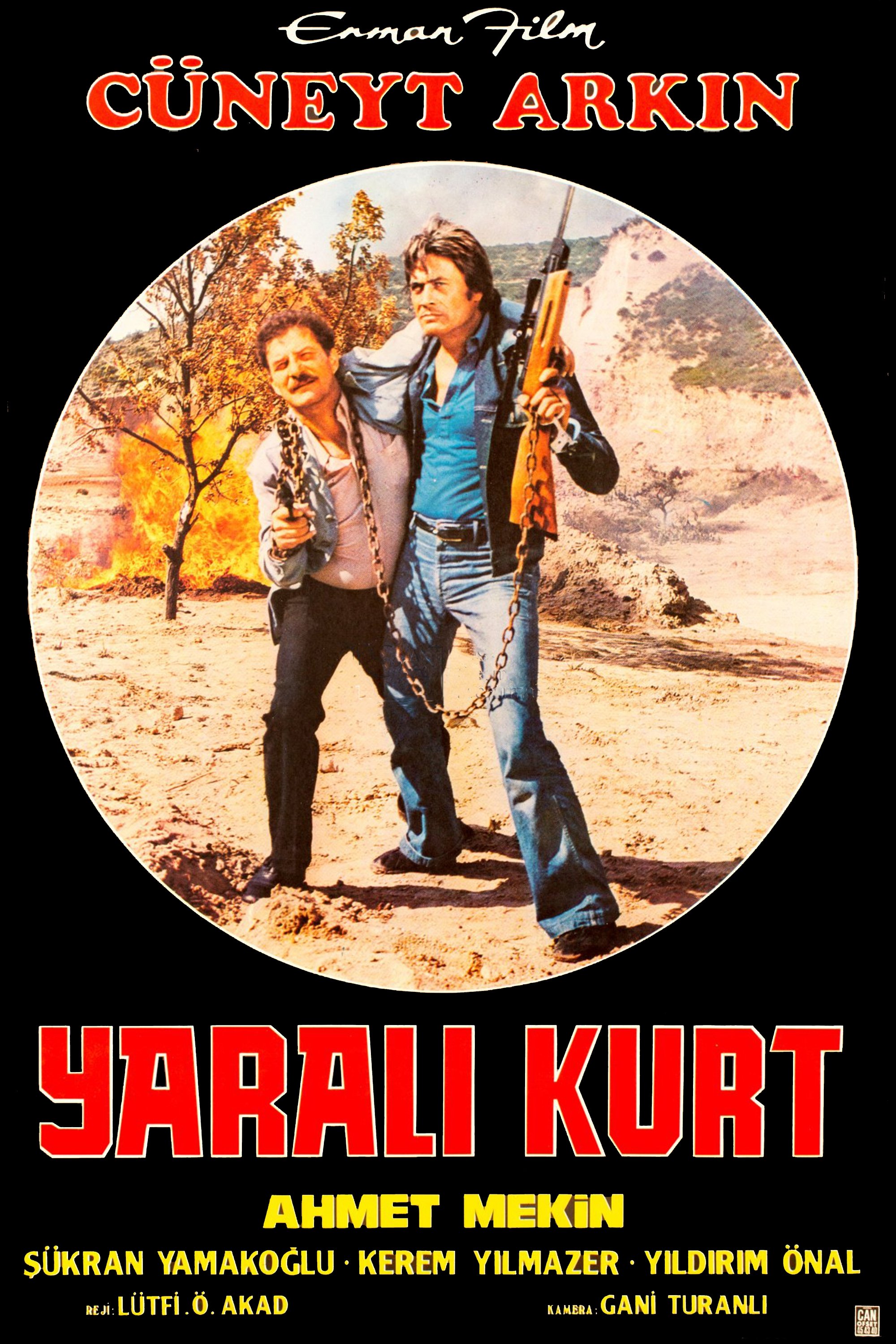 The Wounded Wolf photo