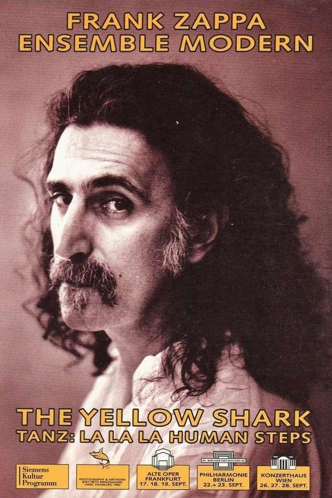 The Yellow Shark photo