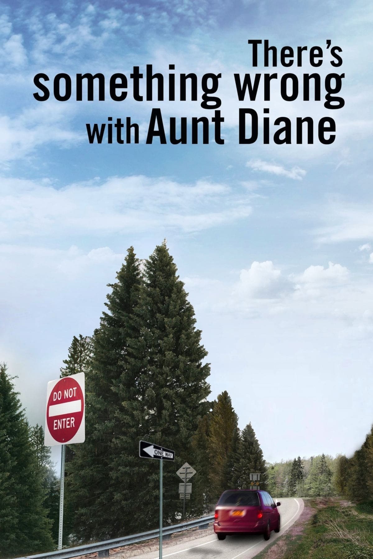 There's Something Wrong with Aunt Diane photo