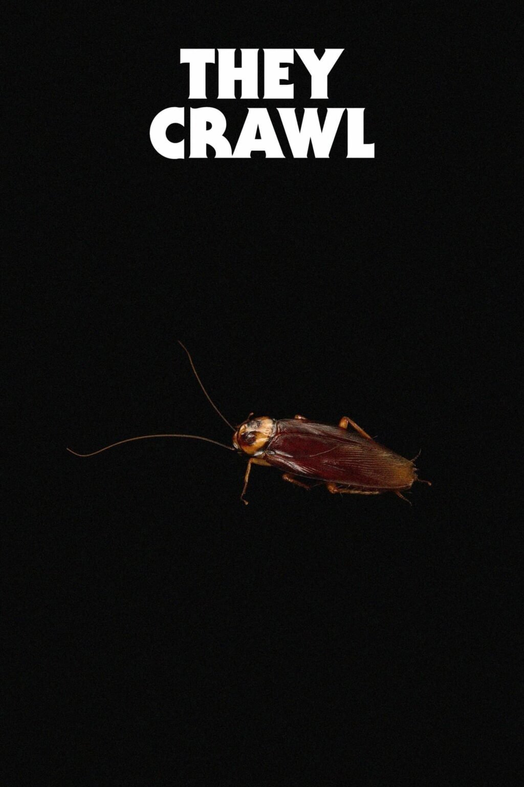 They Crawl photo