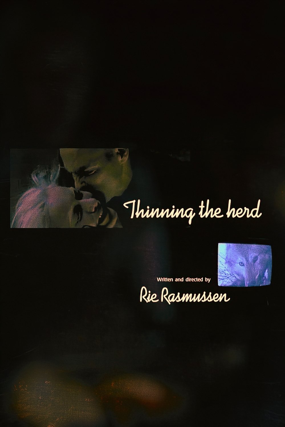 Thinning the Herd photo