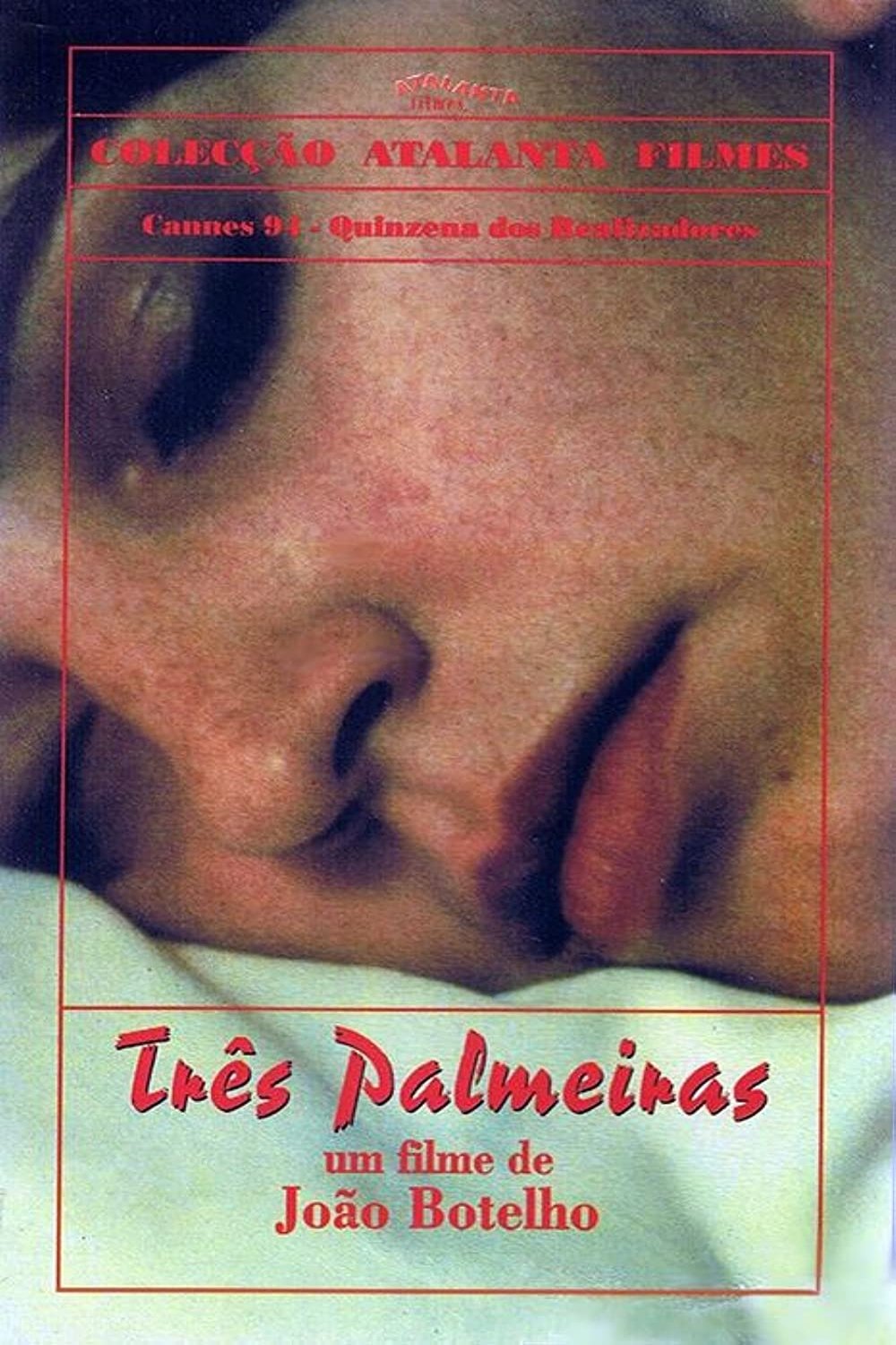 Three Palm Trees photo