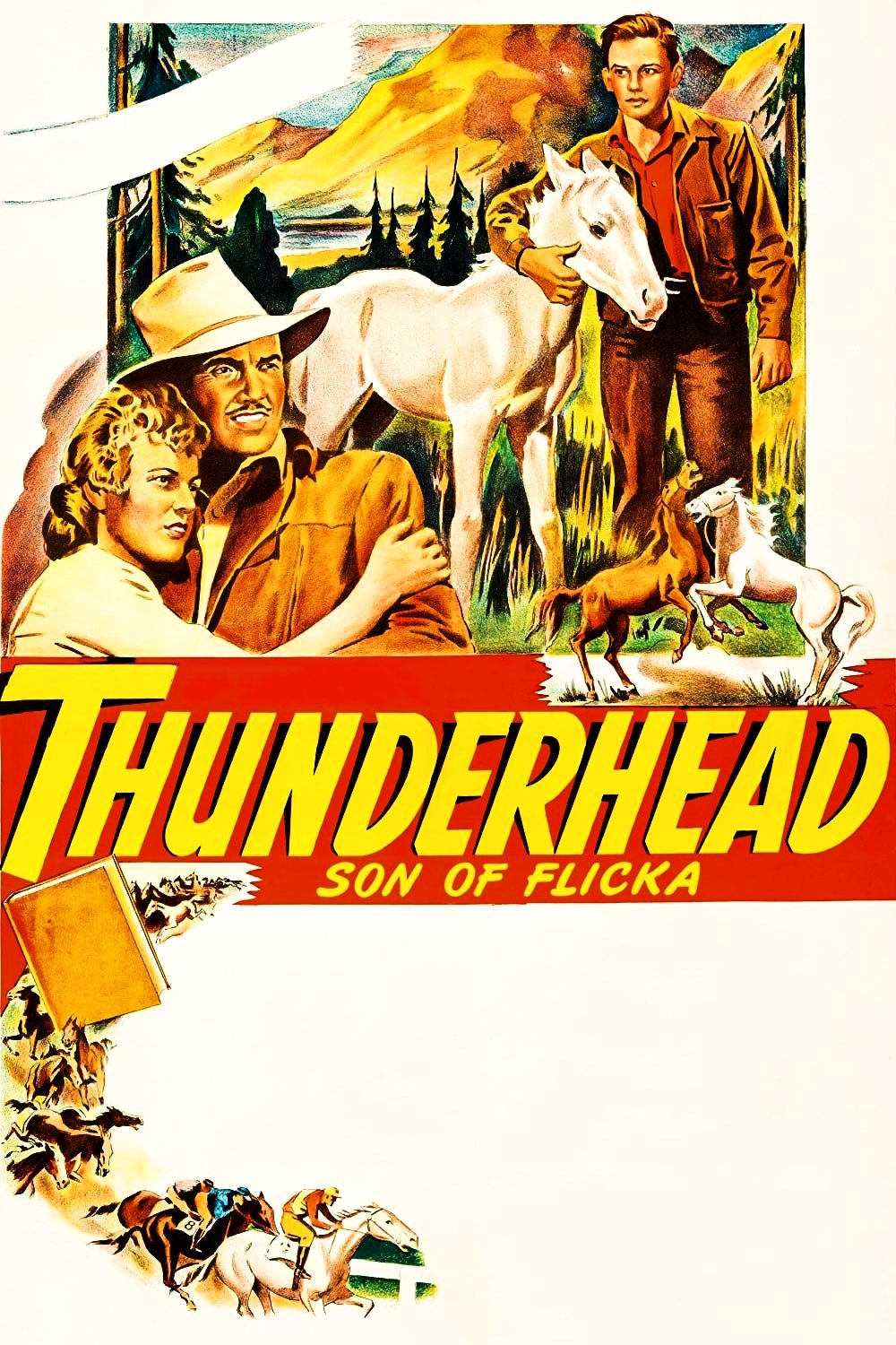 Thunderhead: Son of Flicka photo