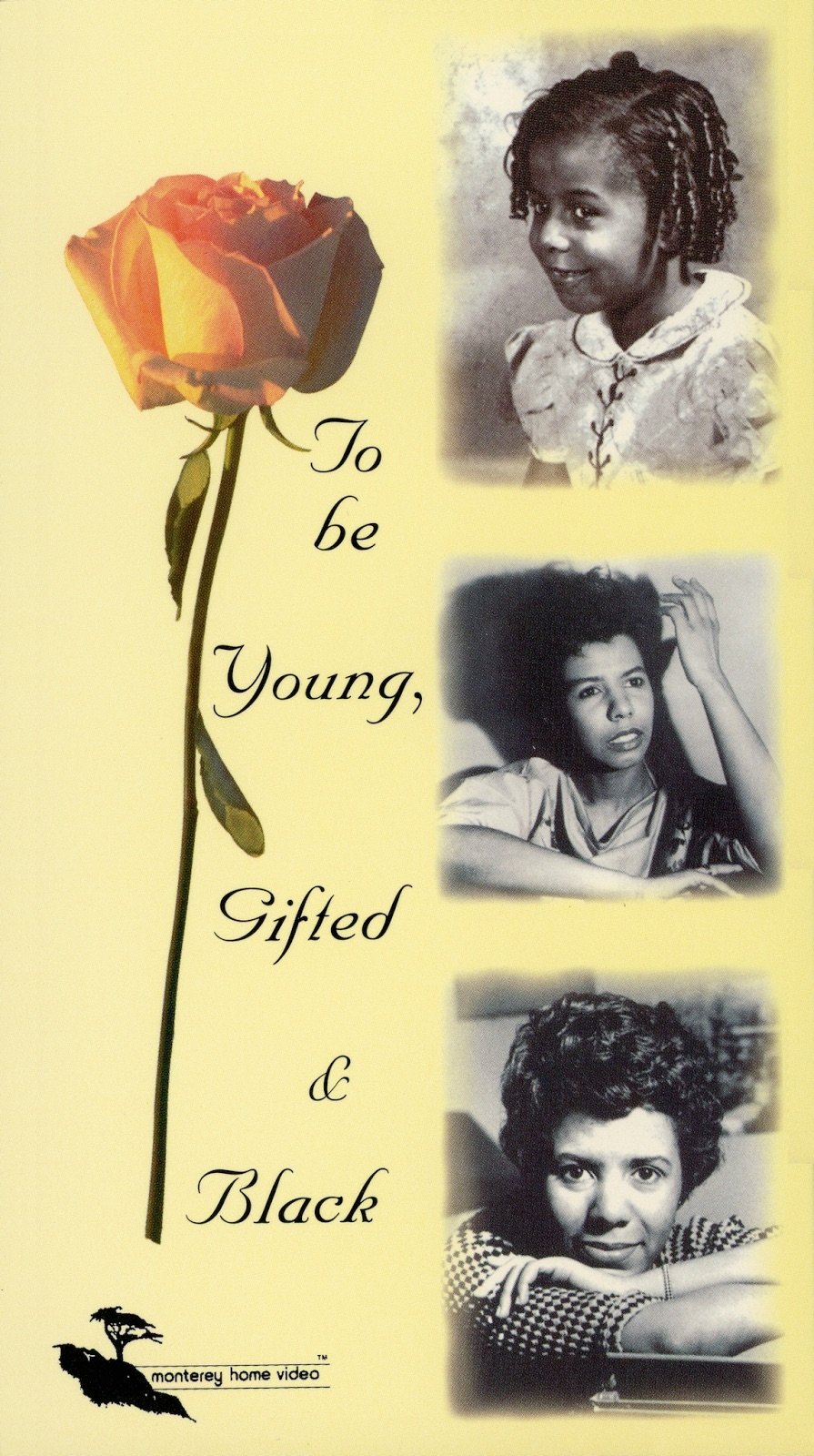 To Be Young, Gifted and Black photo