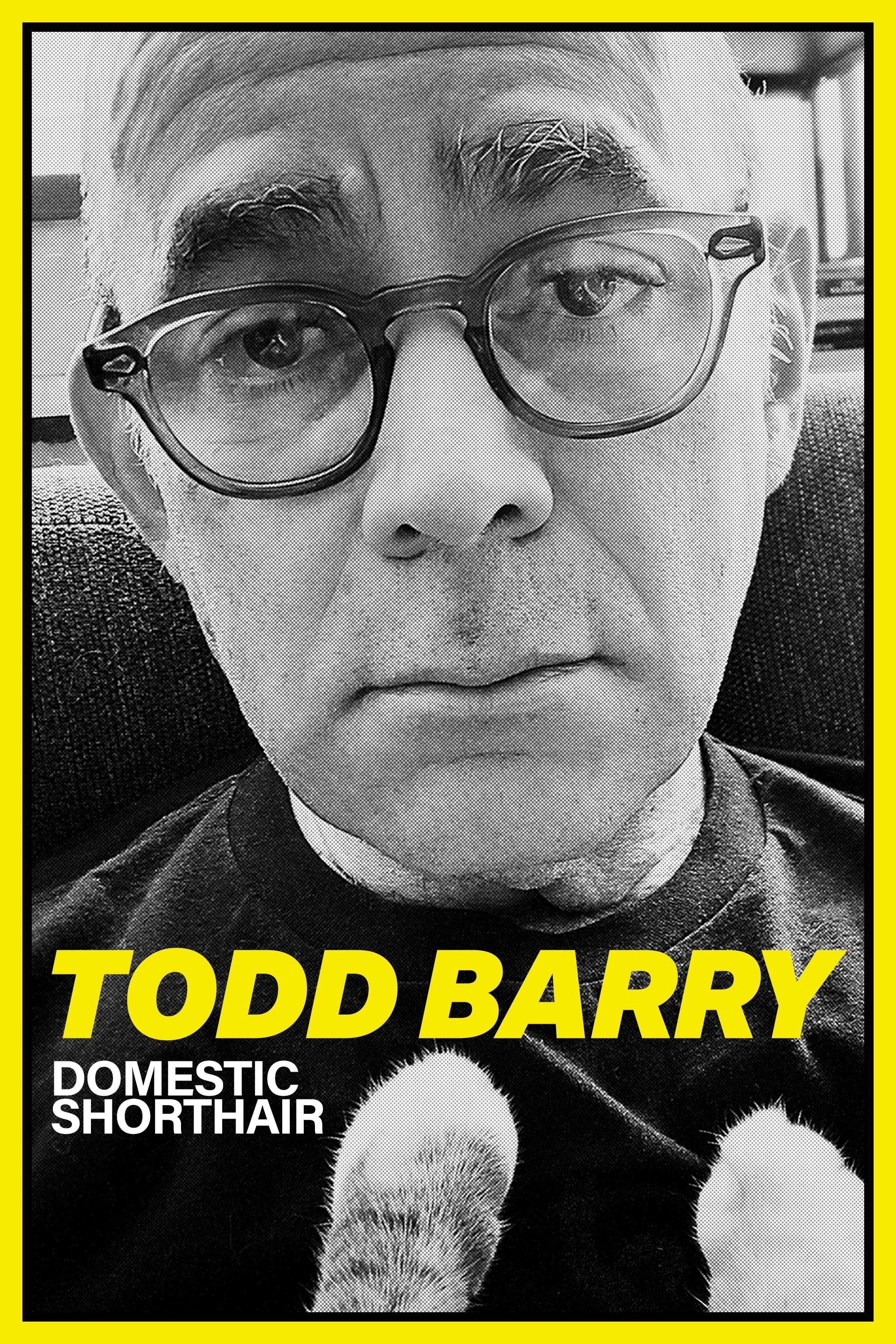 Todd Barry: Domestic Shorthair photo