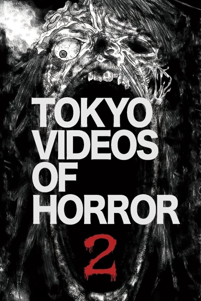 Tokyo Videos of Horror 2 photo