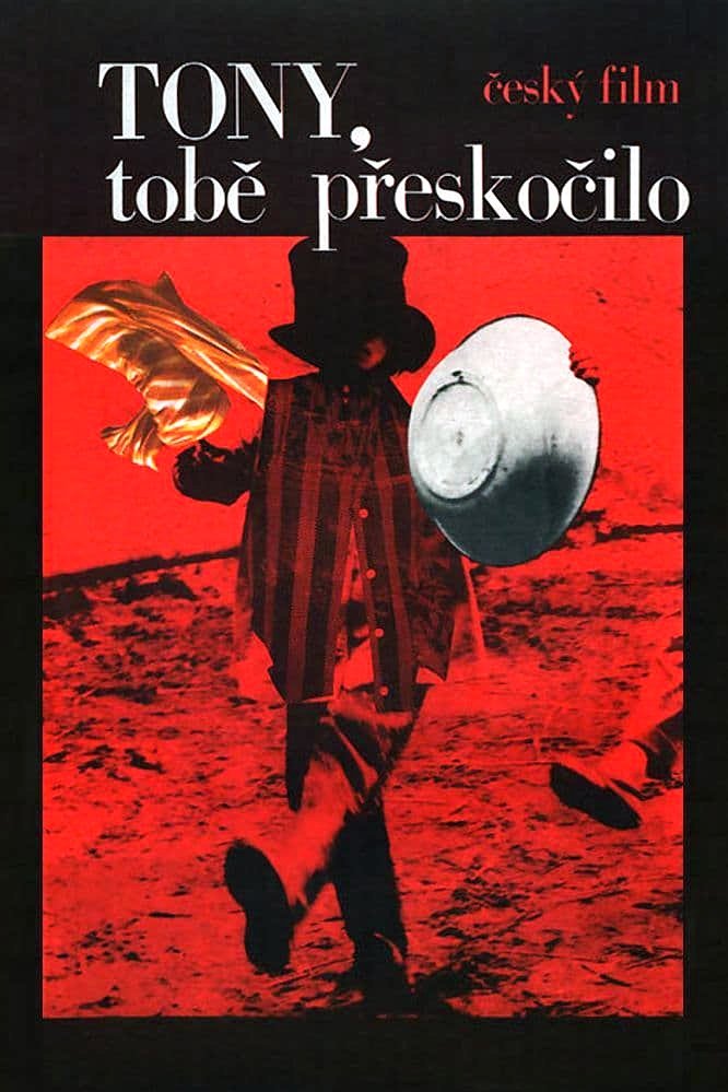 Toni, You're Crazy photo