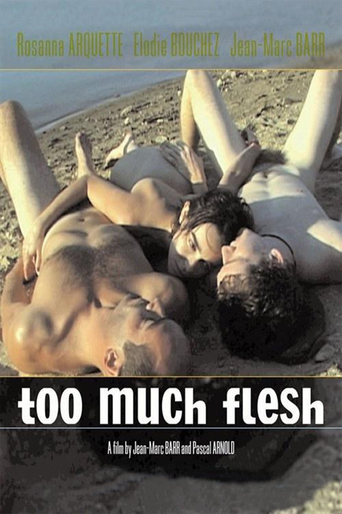 Too Much Flesh photo