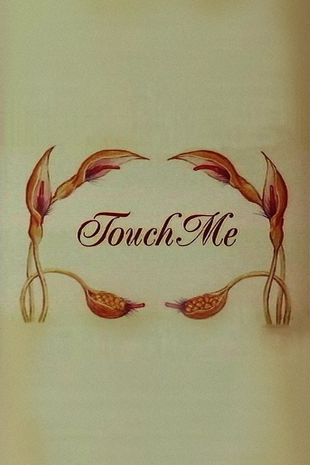 Touch Me photo
