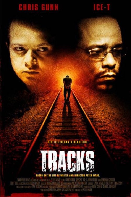 Tracks photo