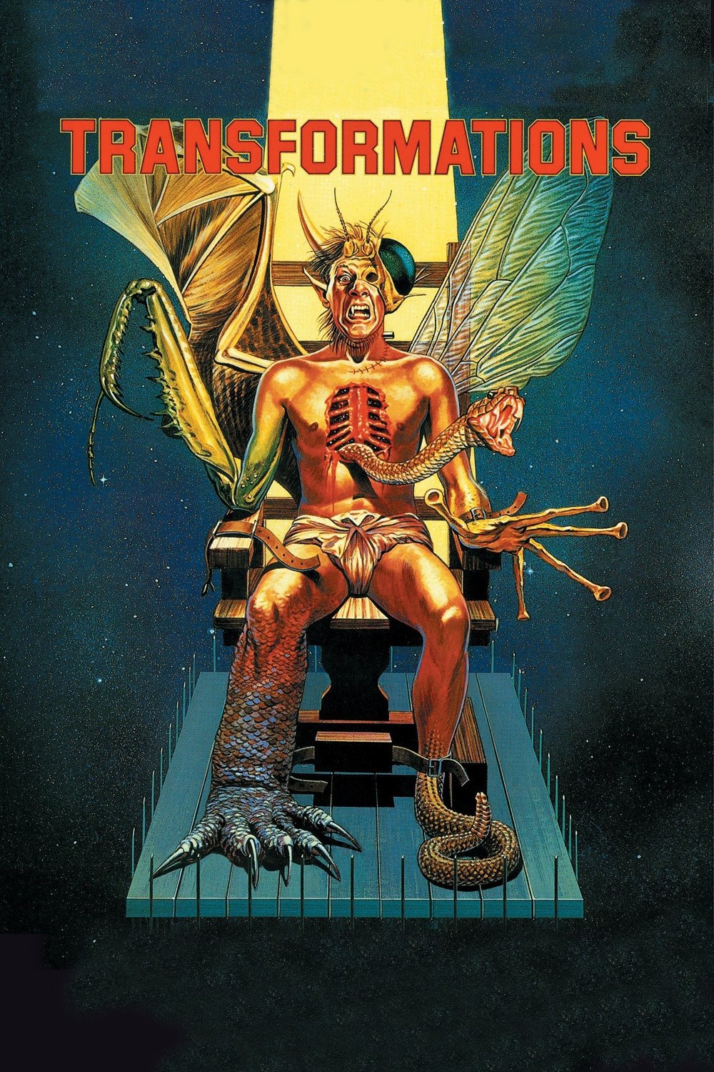 Transformations photo