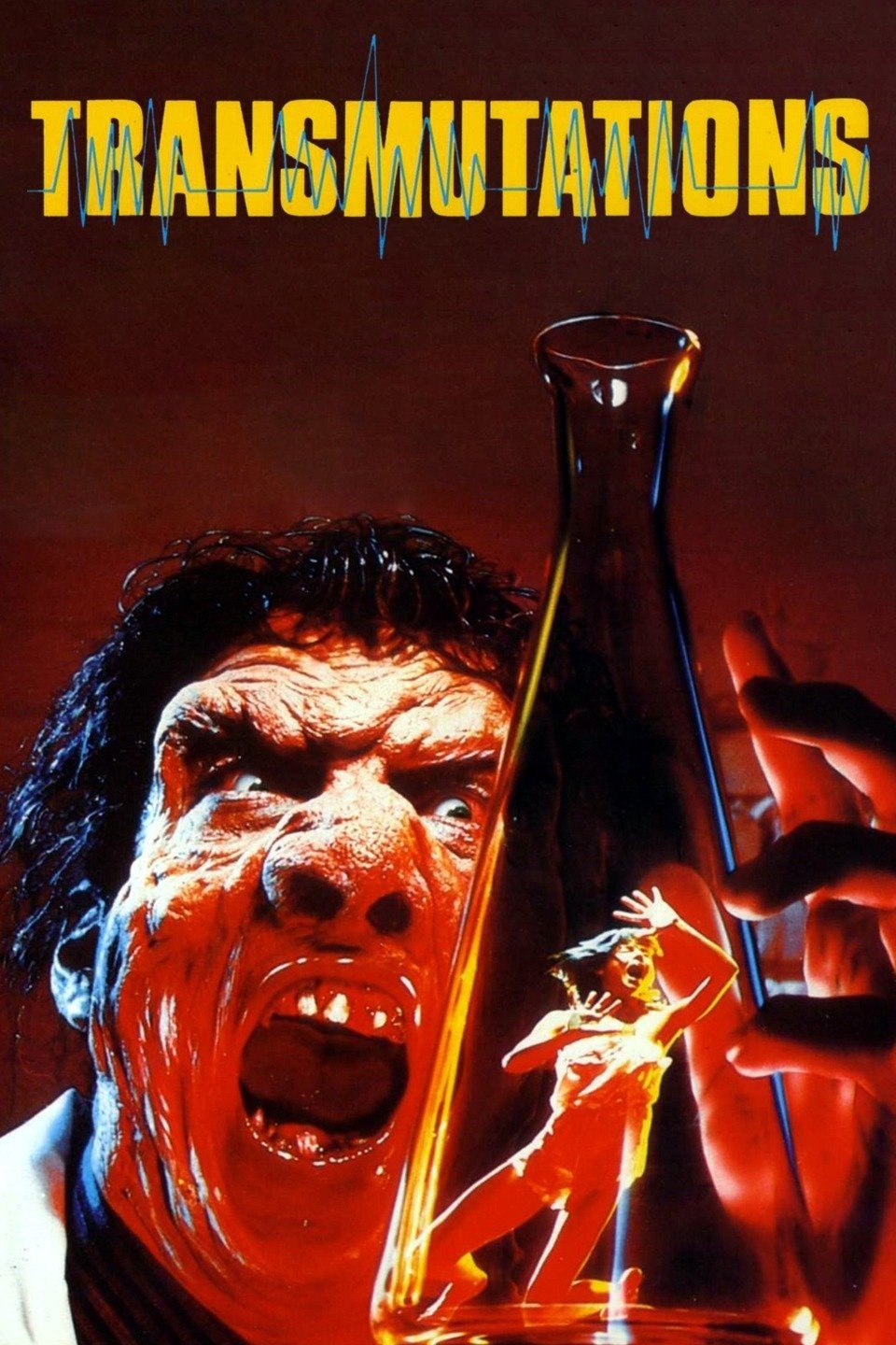 Transmutations photo