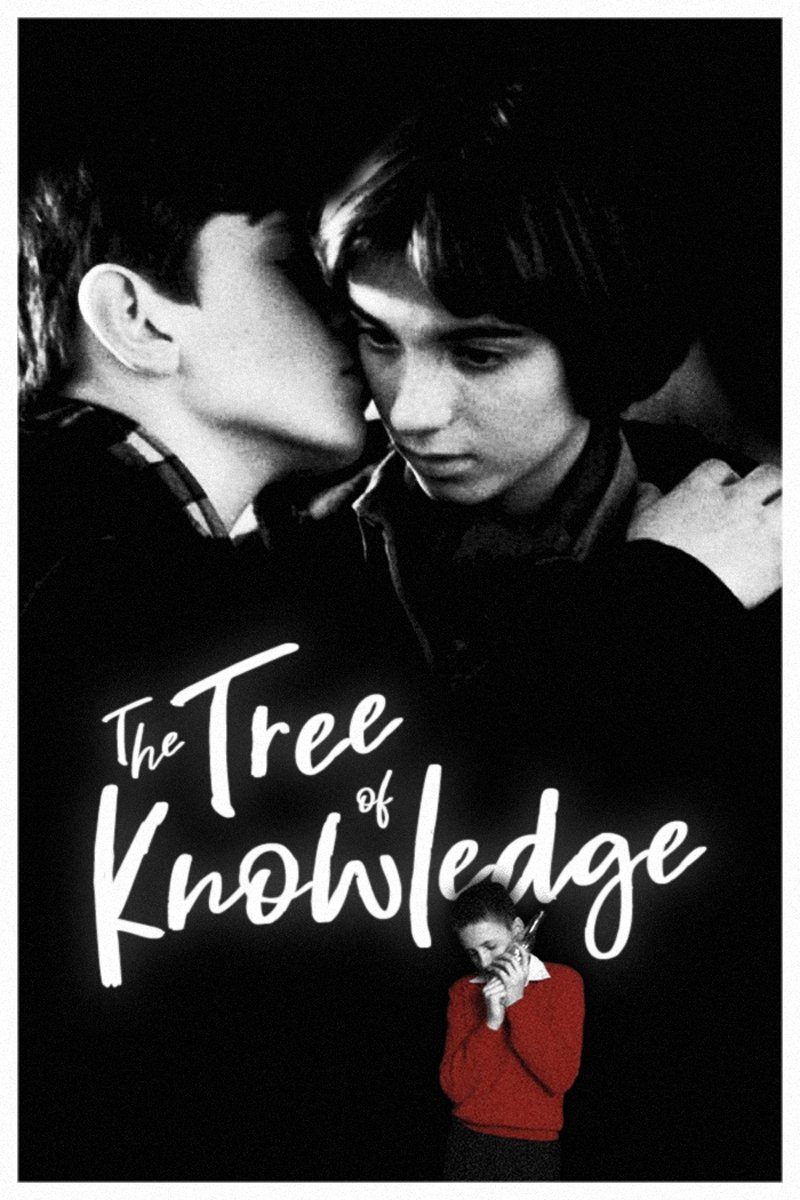Tree of Knowledge photo
