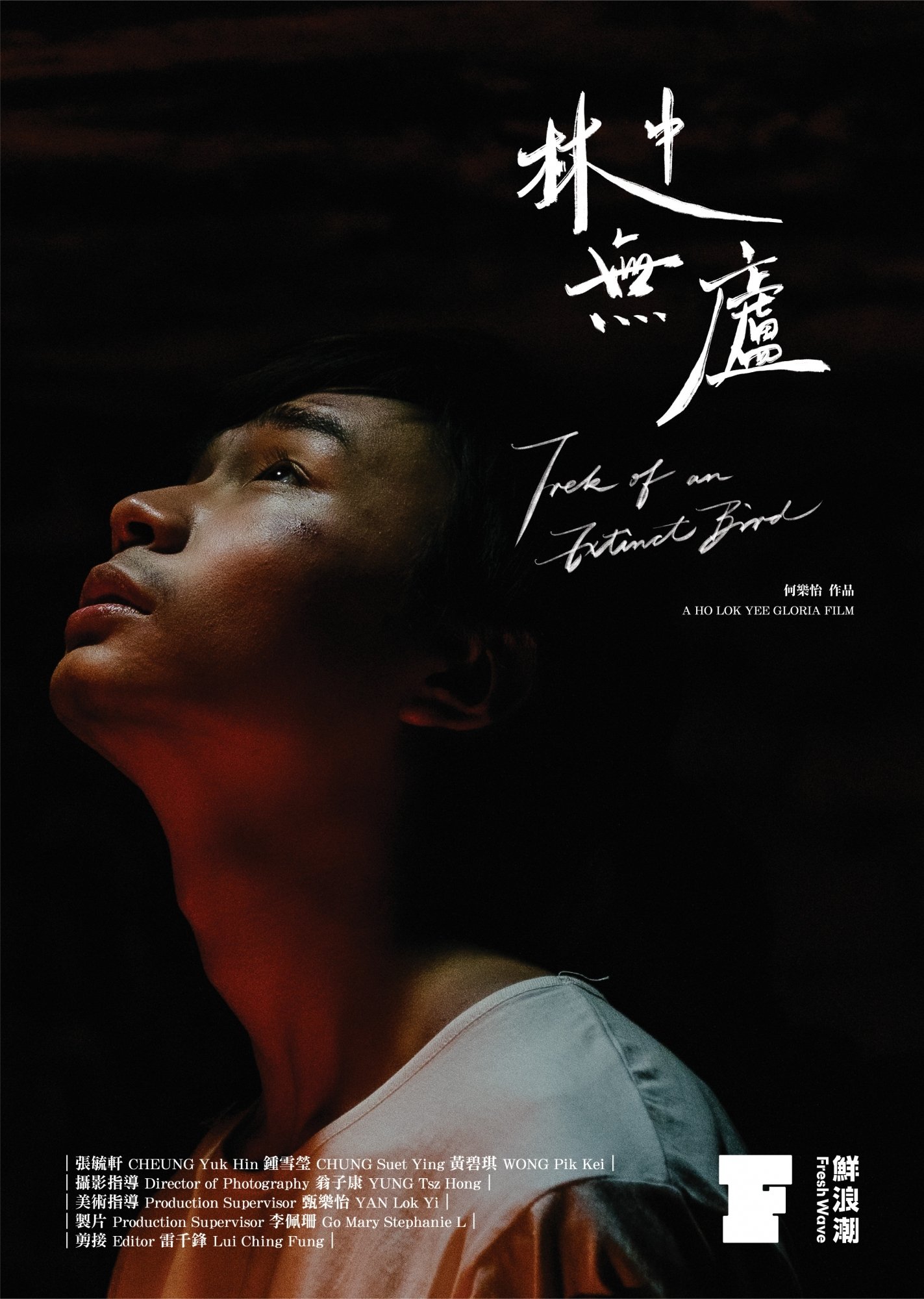 Trek of an Extinct Bird photo