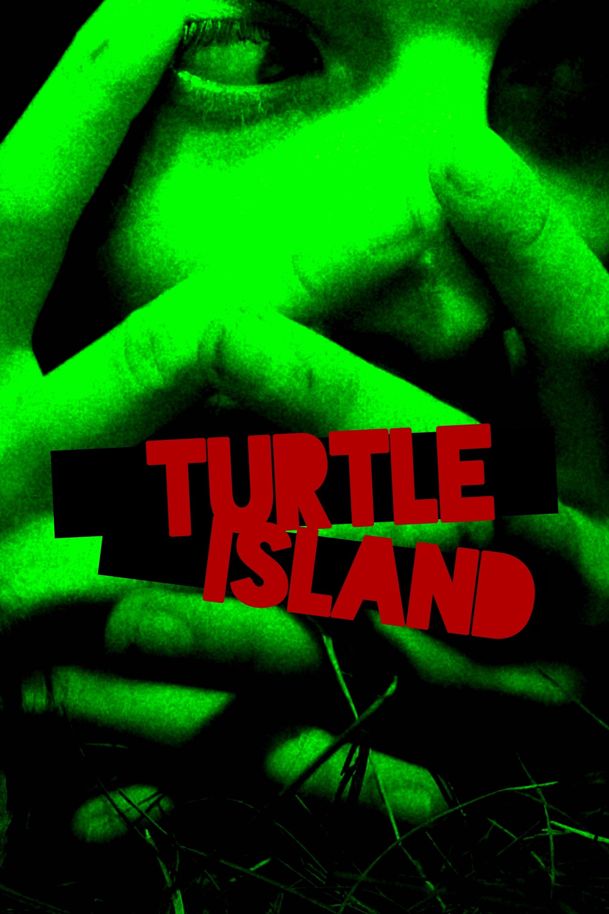 Turtle Island photo