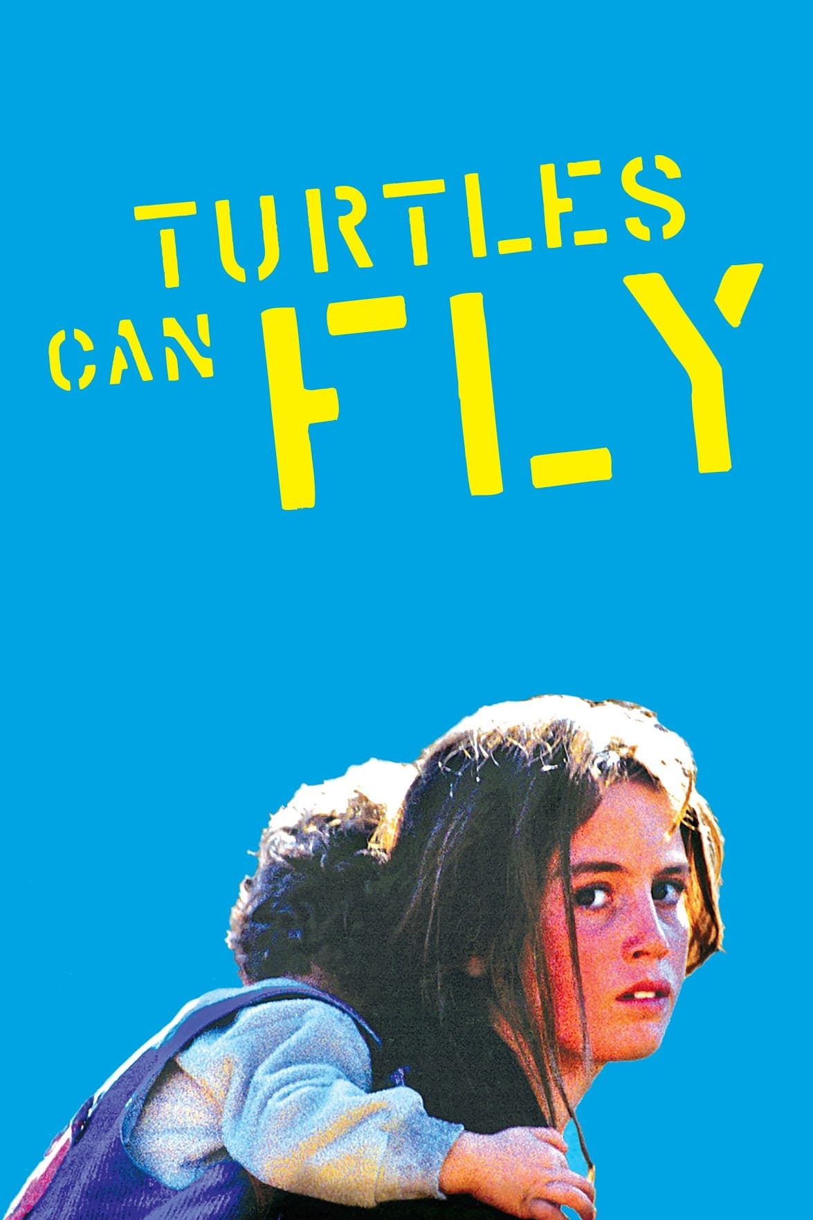 Turtles Can Fly photo