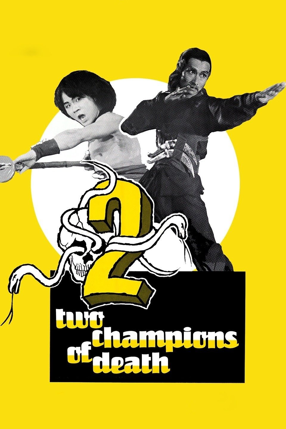 Two Champions of Shaolin photo