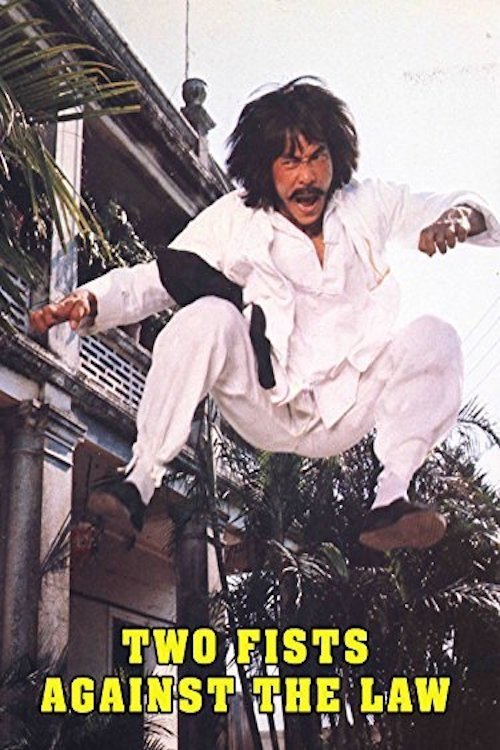 Two Fists Against the Law photo