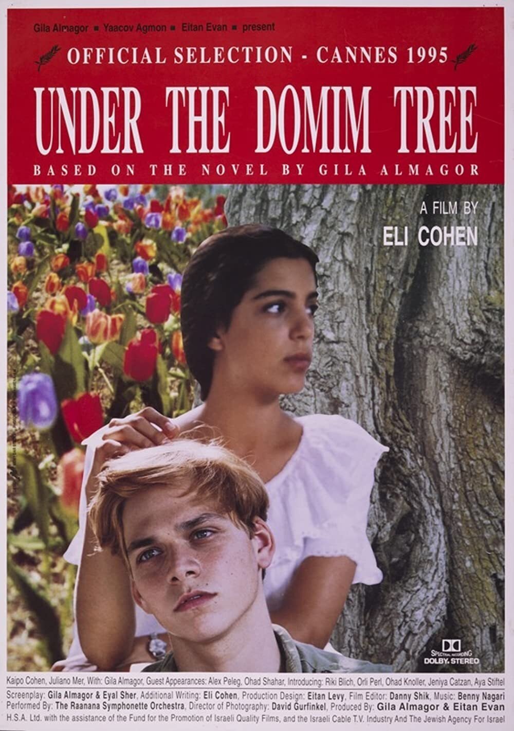 Under The Domim Tree photo