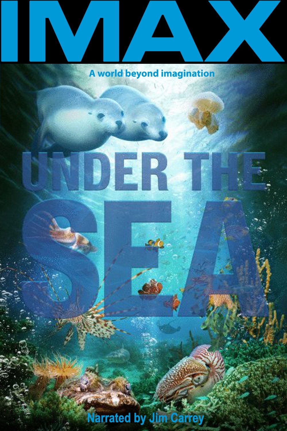 Under the Sea 3D photo
