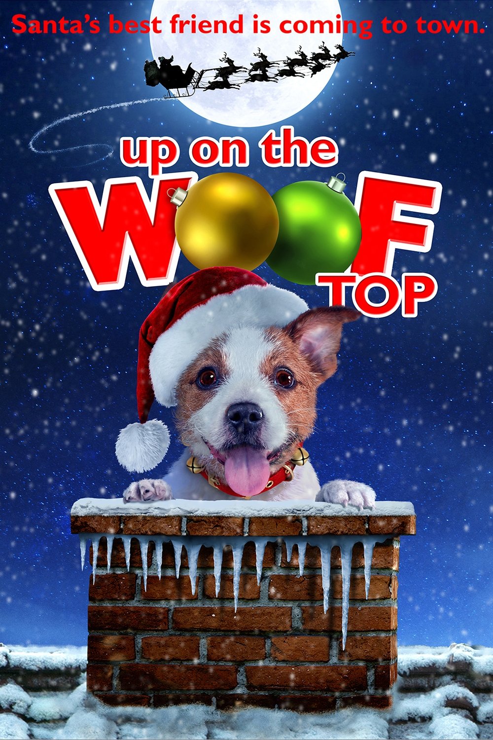 Up on the Wooftop photo