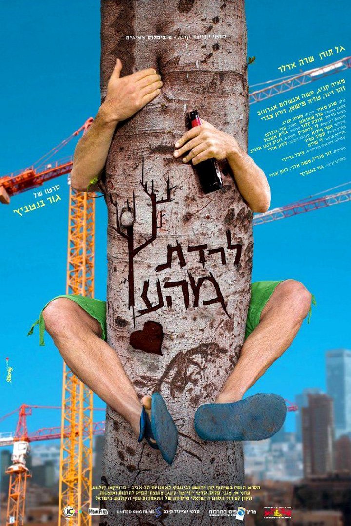 Up The Wrong Tree photo