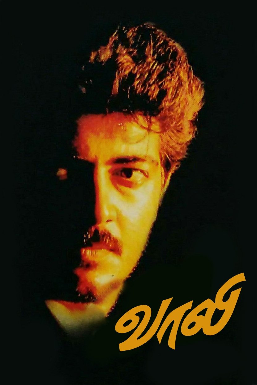 Vaali photo