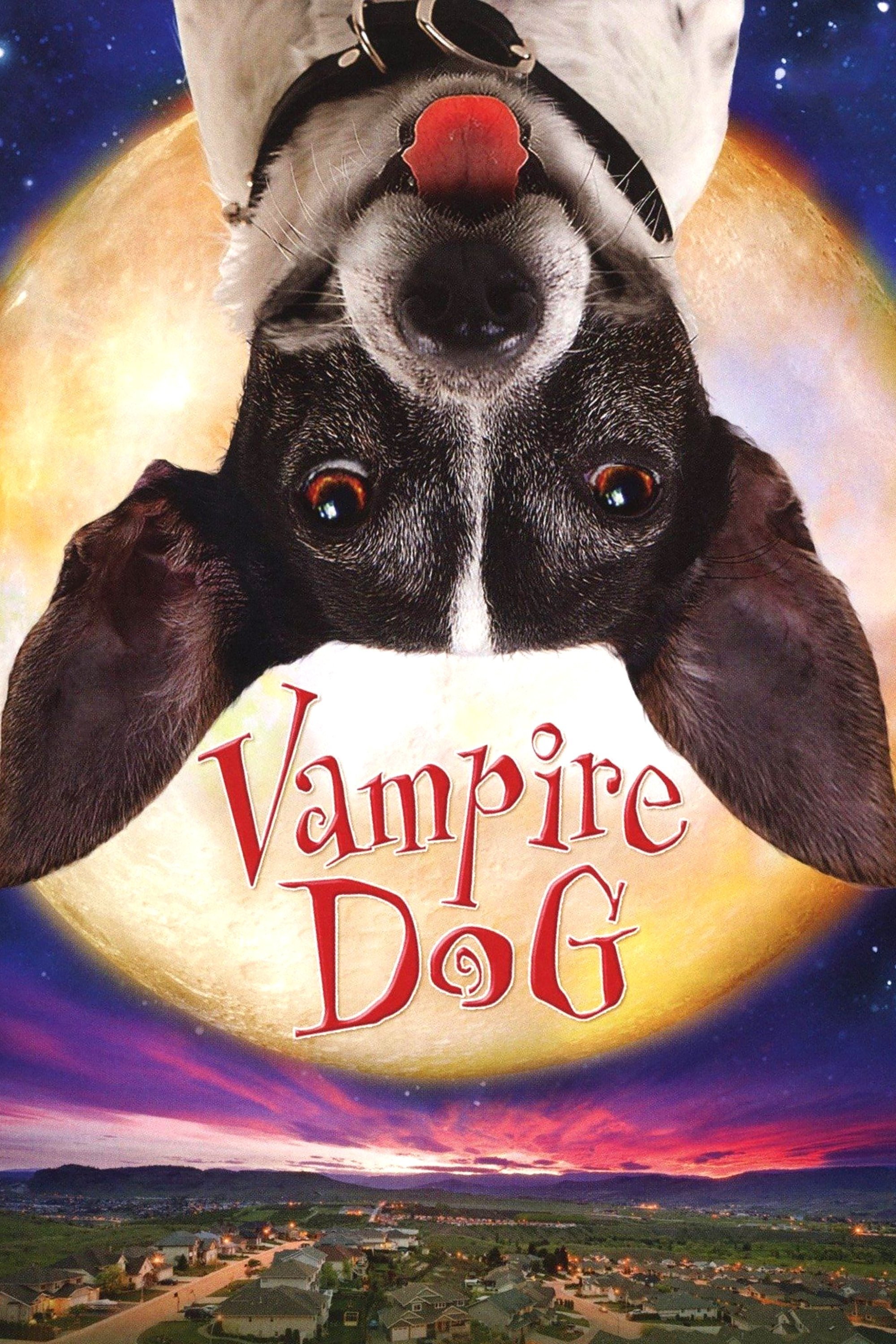 Vampire Dog photo