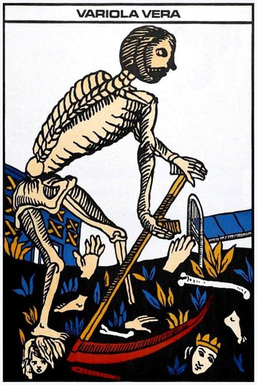 Variola Vera photo