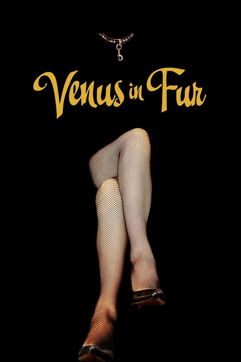 Venus in Fur photo