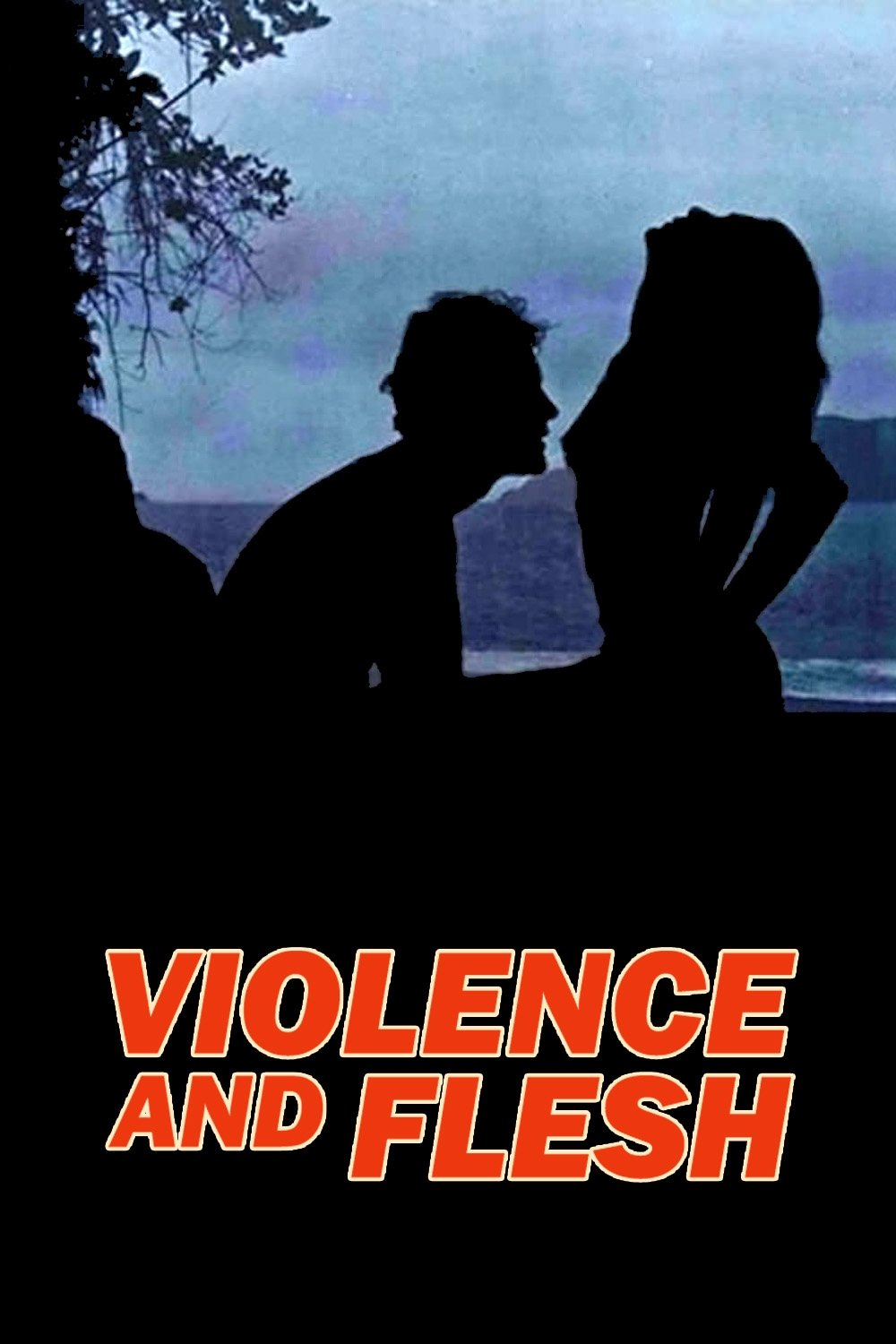 Violence and Flesh photo