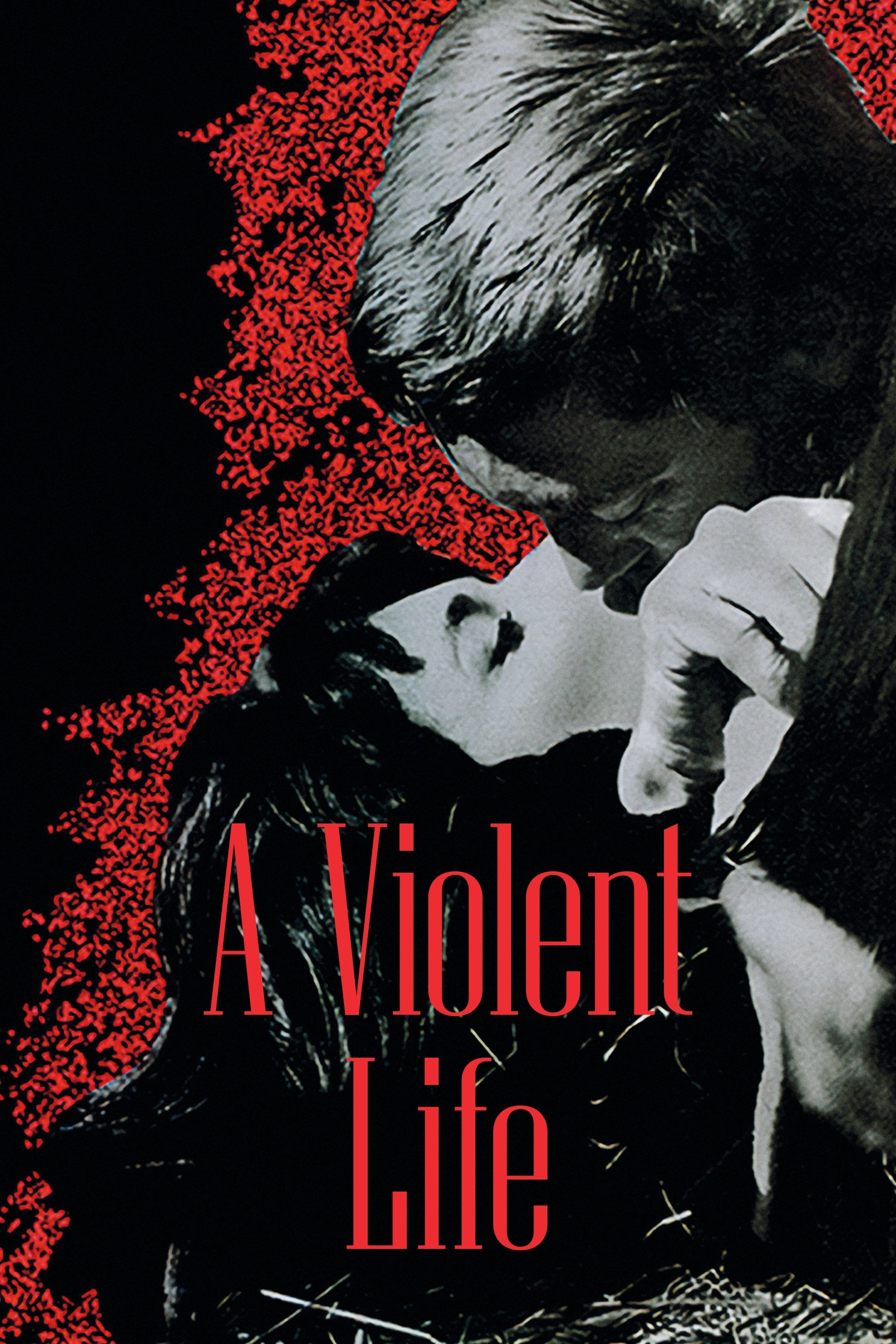 Violent Life photo