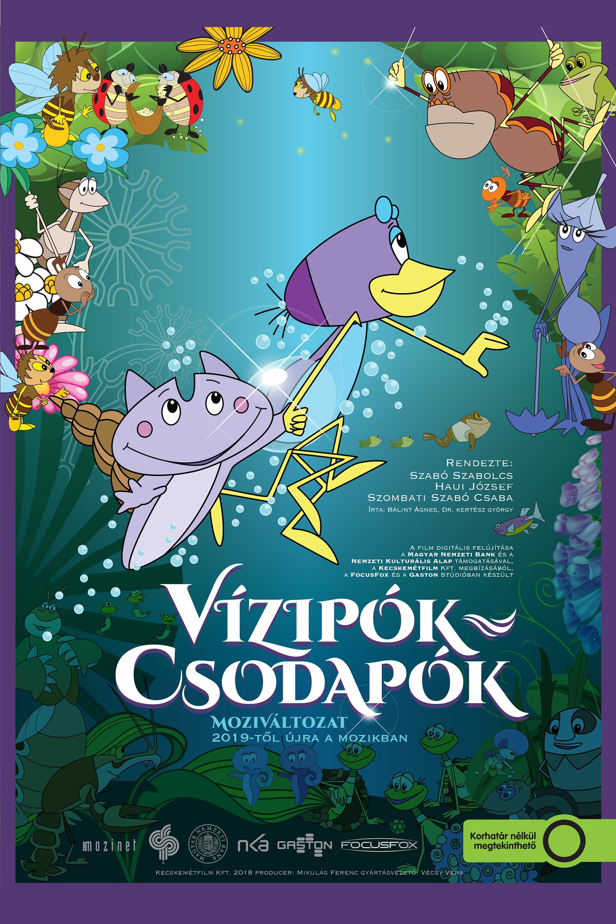 Vízipók-csodapók photo
